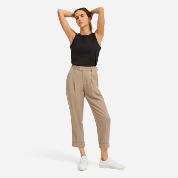 NWT New Everlane Put-together Pleat Pant Clay 00 - Picture 4 of 9